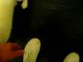 videos de I Am Zach Bliss 4.14.09 (Clip Only)