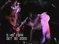 pound-puppy-live.html
