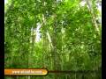 videos de BODHINAGALA N 6