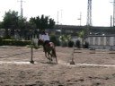 Pedrita Treino Linhas 11 out 2008