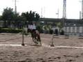 Pedrita Treino Linhas 11 out 2008