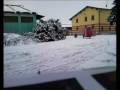 Ape gerosa Snowstreet