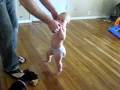 videos de Irie Standing