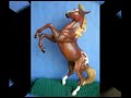 Breyer Mustang Collection