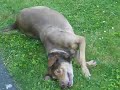 That Insatiable Itch!