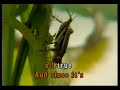 KARAOKE - The Carpenters - You