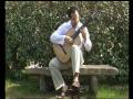 Guitar Agustin Barrios Mangore :  Sueno en la Floresta