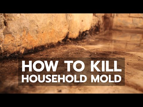 video-linktoworks-How to Kill Household Mold