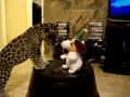 Movie_0001.wmv