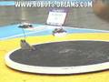 All Japan Robot Sumo - Kanto Region Finals - RC Part 2
