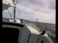 videos de Gibsea 30 noeud