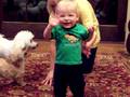 Laughing at dogs and walking