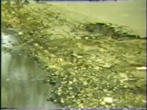 1965 Minnesota River Flood part 3