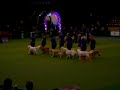 Crufts 2008 - Southern Golden Retriever Display Team (3)