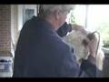 Grooming Sully, Part Two
