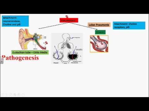 how to treat group g strep