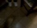Bruno mas hotie mas furioso en la cocina