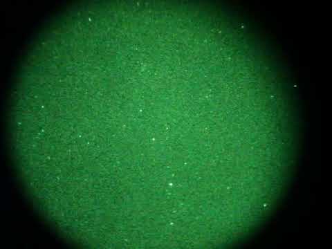 Perseid on August 7 (+ 1.5 Mag) near the alpha Perseus in a night vision device uploaded by Oleg Tarasov