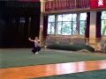 forma de wu shu4