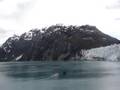 Margerie & Grand Pacific Glacier