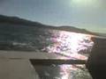 videos de stipe skace