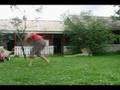540kick