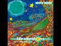 Turquoise Moon - Steve Booke