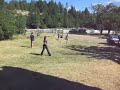 goose attacks nicholas