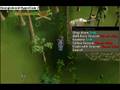 The 10th Best Runescape Player