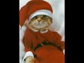 Santa Kitty