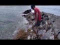 Cap de Creus, un mar por descubrir