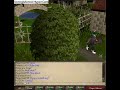 runescape faimly