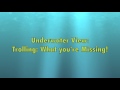 Underwater Trout Trolling: The Bites You're Missing