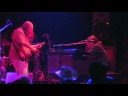 GIMME SOME LOVIN-Cubensis GIMME SOME LOVIN-Cubensis
