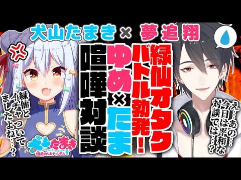 【夢追翔】緑仙オタクバトル勃発ってマジ！？ゆめ×たまガチ喧嘩対談!!【犬山たまき】#ゆめたま