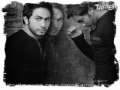 Tamer Hosny - Ya Ta3ebny