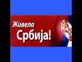 Podrska grobara i svog srpskog naroda Radovanu Karadzicu