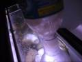 videos de doodooskimmer v1.0  $20 protein skimmer homemade diy