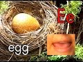 Alphabet Learning with Nature video - Baby & Children learn the ABC's