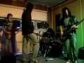 I Wanna Be Your Dog cover