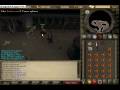 Ny yankee6 Killing Cavies Ny yankee6 Killing Cavies