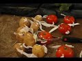 petite-patate.html