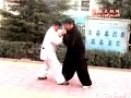 Chenyu teaches  Chen Taijiquan Tuishou