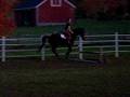 Lex Jumping- 11/7/08 (3)