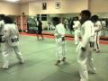 2010-03-05 | Tae Kwon Do at UCR Practice 3 ~>   (<span>0:)