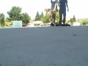 PGOS Set Fakie Small Spin