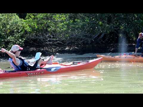 Florida Everglades National Park Kayaking Adventure - Chickee Hut & Beach Camping - Flamingo, FL