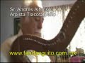 CLASES DE ARPA