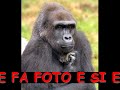 Thumbnail #1