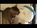 映画『猫ラーメン大将』予告編